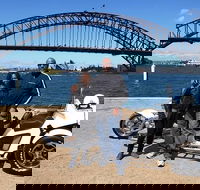 Sydney Scenic Trike or Harley Davidson Tour - Accommodation NT