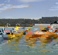 Beginner's Kayak Tour in Sydney - Gorgeous Aussie Beaches and Bays - Accommodation NT