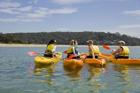 Beginner\'s Kayak Tour In Sydney - Gorgeous Aussie Beaches And Bays - Accommodation NT 0