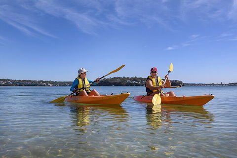 Beginner\'s Kayak Tour In Sydney - Gorgeous Aussie Beaches And Bays - Accommodation NT 7