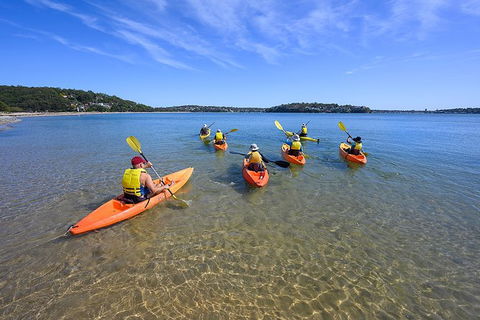 Beginner\'s Kayak Tour In Sydney - Gorgeous Aussie Beaches And Bays - Accommodation NT 5