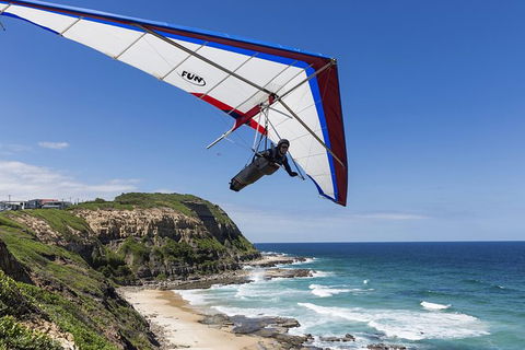 Newcastle And Central Coast Private Shore Excursion | Departs Newcastle Port - Accommodation NT 5