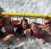 Jervis Bay Boom Netting and Dolphins Tour - Accommodation NT