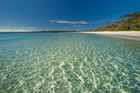 Jervis Bay South Coast Day Trip From Sydney - Cycling - Accommodation NT 0