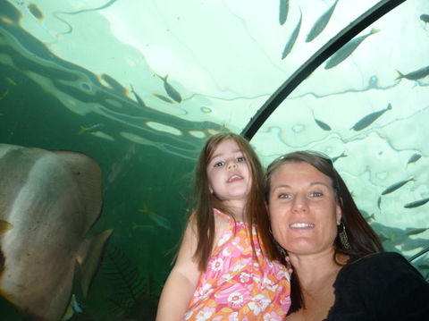WILD LIFE Sydney Entrance Ticket - Accommodation NT 4