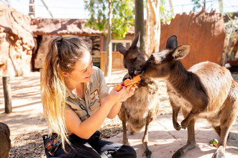 WILD LIFE Sydney Entrance Ticket - Accommodation NT 18