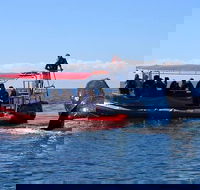 Byron Bay Whale Watching Cruise - Accommodation NT