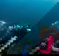 5-Hour Byron Bay Introductory Scuba Diving Tour - Accommodation NT