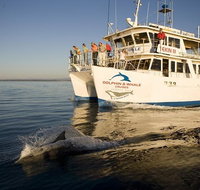 Jervis Bay Dolphin Watch Cruise - Accommodation NT