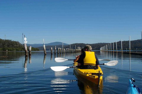 Batemans Bay Oyster Tasting Kayak Tour - Accommodation NT 0