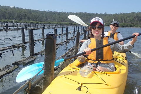 Batemans Bay Oyster Tasting Kayak Tour - Accommodation NT 5