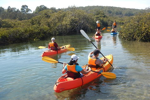 Batemans Bay Glass-Bottom Kayak Tour Over 2 Relaxing Hours - NT Tourism 4