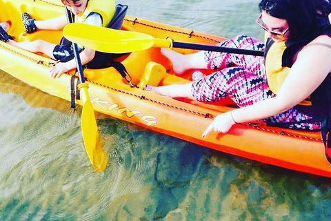 Batemans Bay Glass-Bottom Kayak Tour Over 2 Relaxing Hours - NT Tourism 6