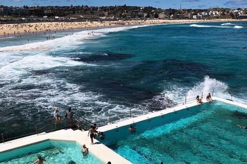 Private Sydney City To Bondi Coast Tour With Waterfront Lunch - Accommodation NT 2