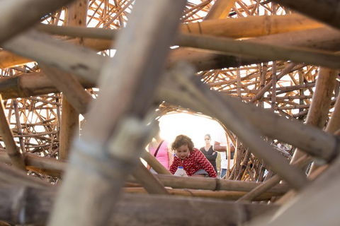 Escape The Airport & See Sydney With A Local: 100% Personalized & Private - Accommodation NT 3