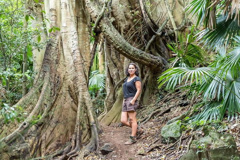 South Coast Private Bucket List Full Day Tour - Accommodation NT 0
