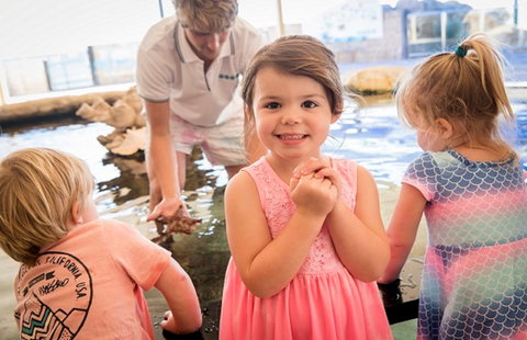 AQWA The Aquarium Of Western Australia - Accommodation NT 2