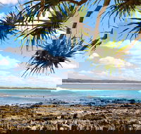 Arrawarra-Corindi Beach - Accommodation NT