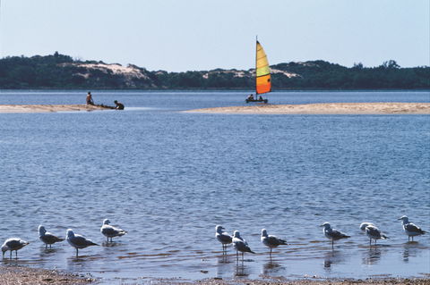 Australind - Accommodation NT 0