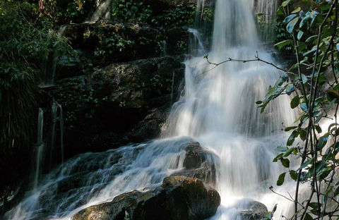 Bangalore Falls Walking Track - Accommodation NT 0