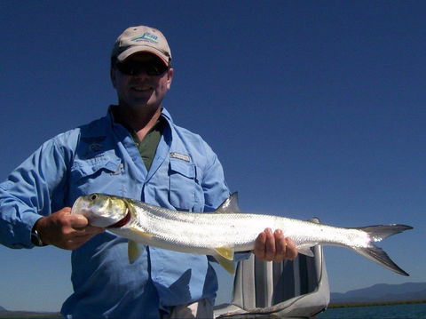 Barramundi To Trevally – A Seaforth Fishing Adventure - Accommodation NT 2