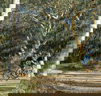 Bundanoon cycling route - Accommodation NT