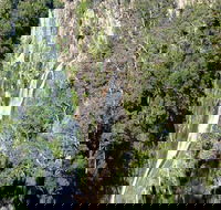 Carrai National Park - Accommodation NT