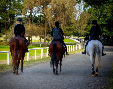 Centennial Stables - Accommodation NT 0