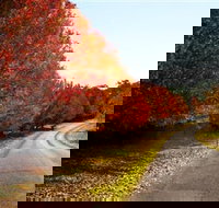 Charles Sturt University Winery - NT Tourism