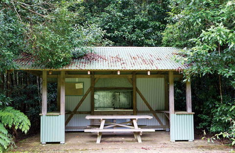 Coachwood Picnic Area - Accommodation NT 0