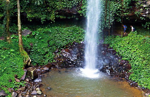 Crystal Shower Falls Walk - Accommodation NT 0