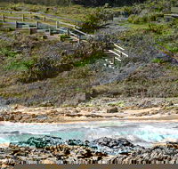 Dammerels History Walk - Accommodation NT