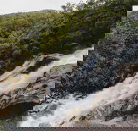 Davies Creek National Park and Dinden National Park - Accommodation NT