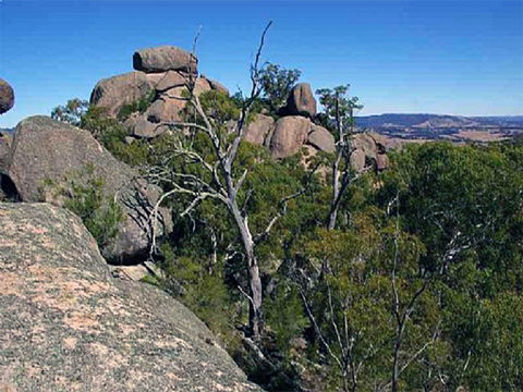 Evans Crown Nature Reserve - Accommodation NT 0