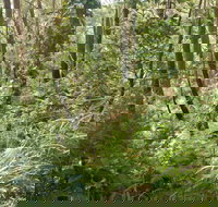 Gap Beach Walking Track - Accommodation NT