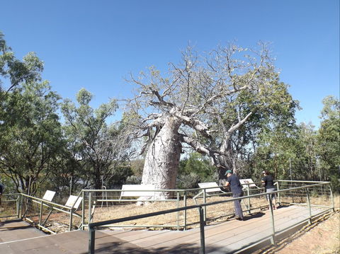 Gregory's Tree, Timber Creek - Accommodation NT 0