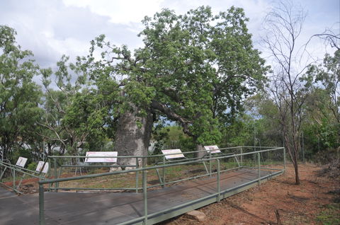 Gregory's Tree, Timber Creek - Accommodation NT 1