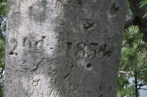 Gregory's Tree, Timber Creek - Accommodation NT 2