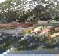 Green Corridor Walking Track - Accommodation NT