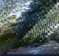 Hastings Forest Way Touring Route - Accommodation NT