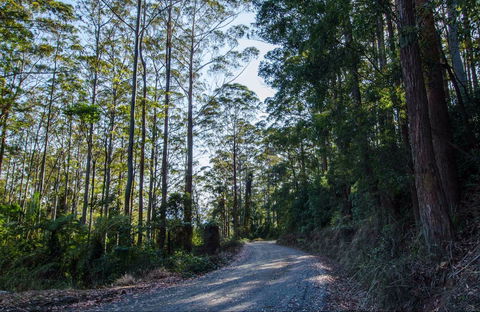 Hastings Forest Way Touring Route - Accommodation NT 0