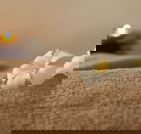 Heavenly Hunter Massage - Accommodation NT