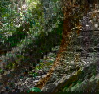Hidden Treasure Track - Accommodation NT