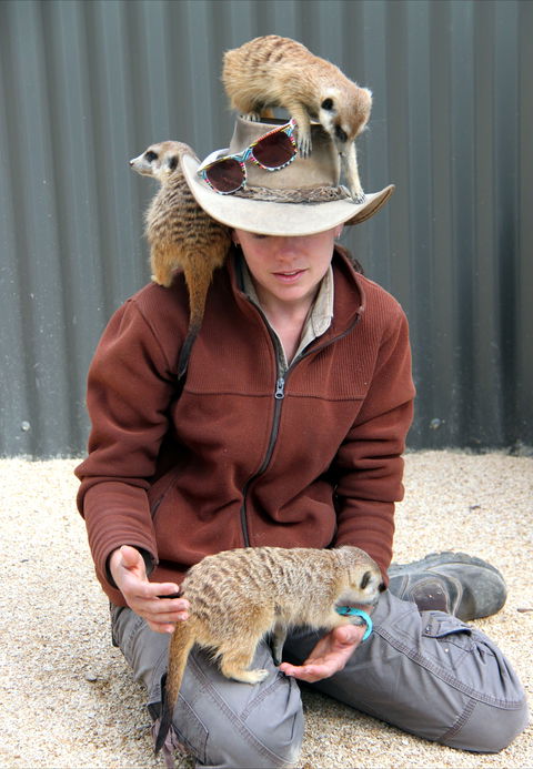 Hunter Valley Zoo - Accommodation NT 2