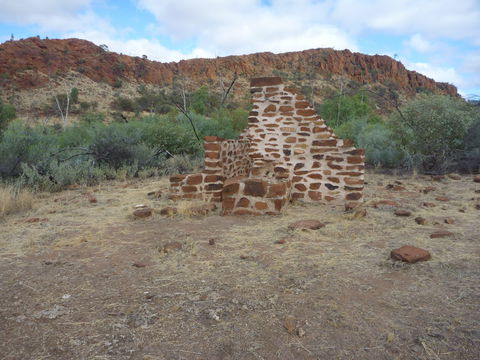 Illamurta Springs Conservation Reserve - Accommodation NT 1