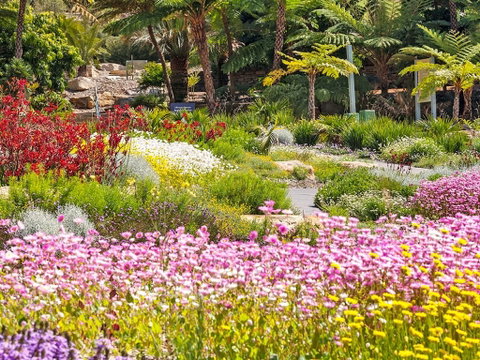Jurassic Garden AR Experience - Accommodation NT 0