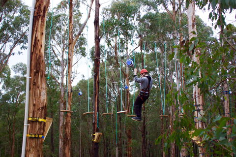 Kinglake Forest Adventures - Accommodation NT 0