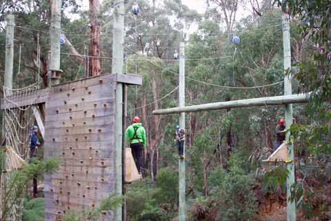Kinglake Forest Adventures - Accommodation NT 1