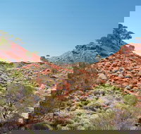 Lark Quarry Conservation Park - Accommodation NT