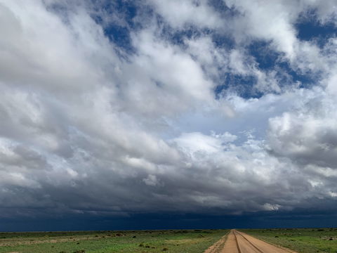 Long Paddock - Cobb Highway Touring Route - Accommodation NT 1